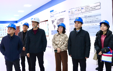 陽光電源股份、宜賓智能制造行業(yè)協(xié)會(huì)、宜賓安徽商會(huì)調(diào)研遠(yuǎn)東電纜（宜賓）