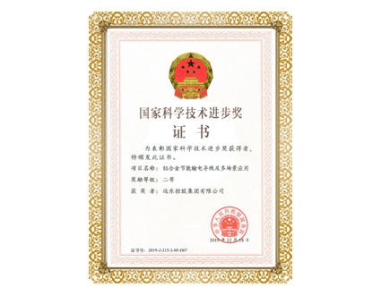 國家科學(xué)進(jìn)步獎